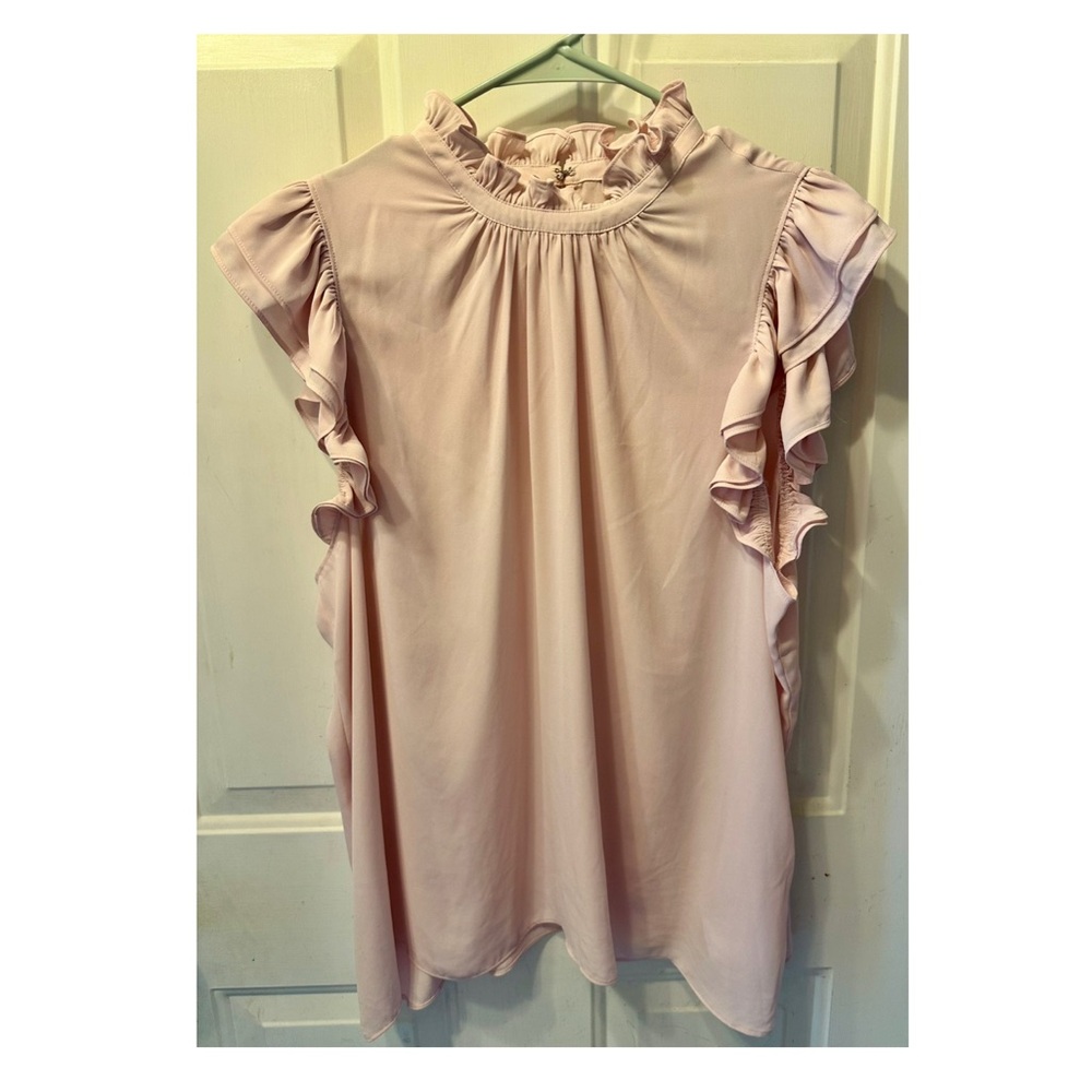 Express Light Pink Sheer Top